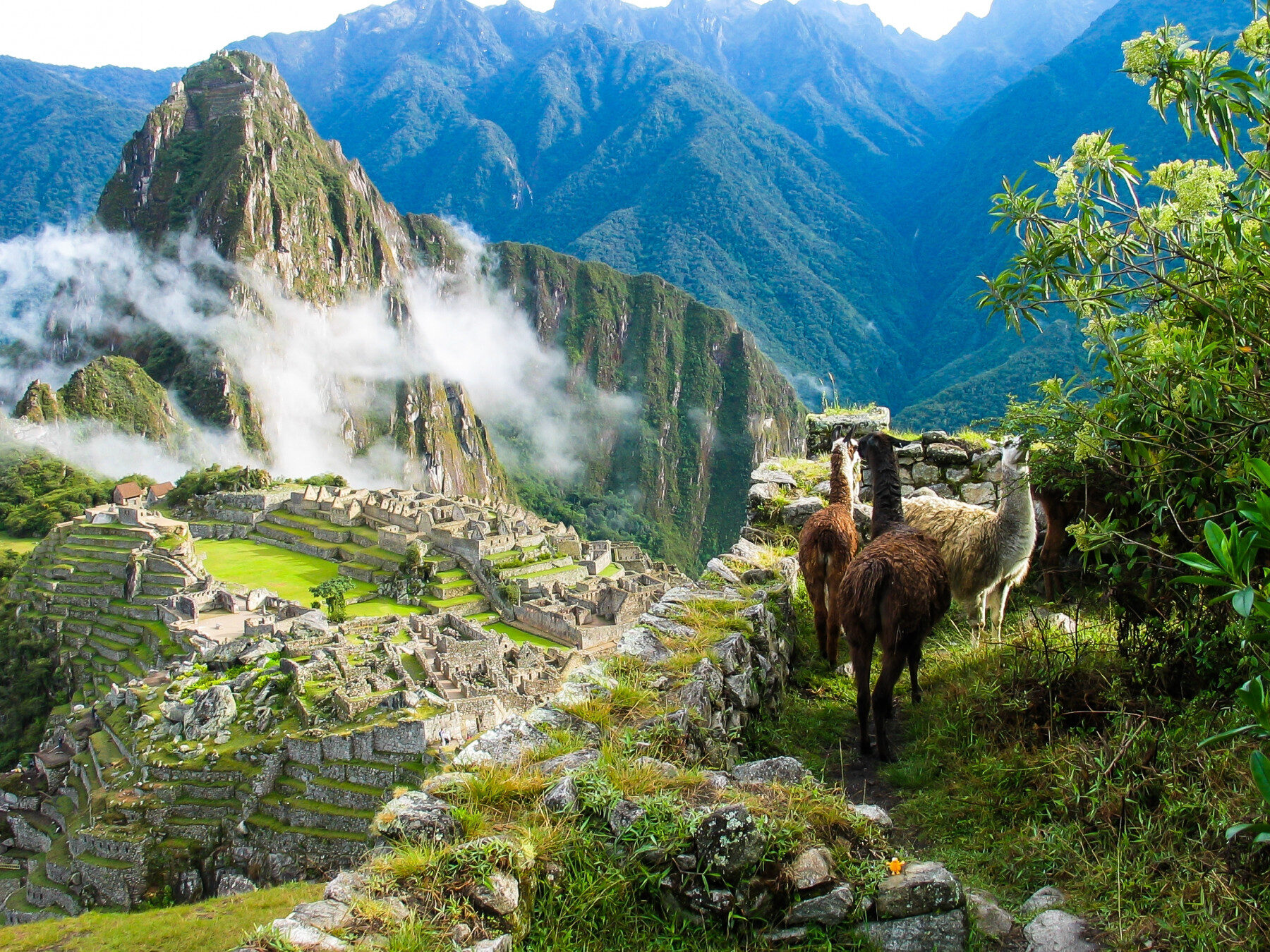 machu-picchu-3525